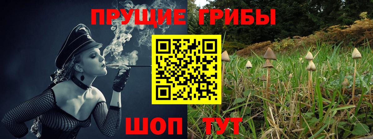 купить   Псилоцибиновые грибы мухоморы  Вход с VPN  Славянск-на-Кубани 