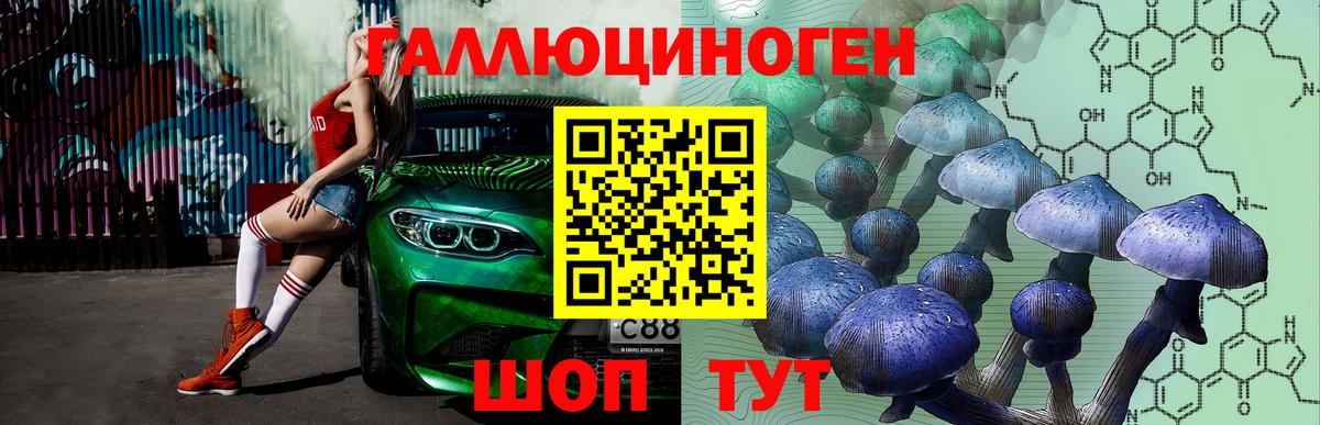 Псилоцибиновые грибы GOLDEN TEACHER Славянск-на-Кубани